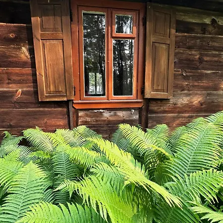 Alpstuga Skansenovo Rogozno (Wyszkow)