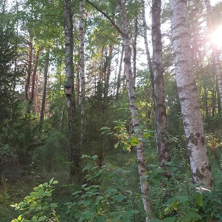 Skansenovo Rogozno (Wyszkow)