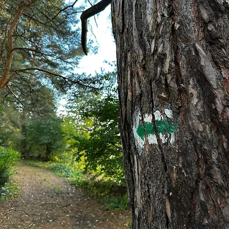 Skansenovo Alpstuga *