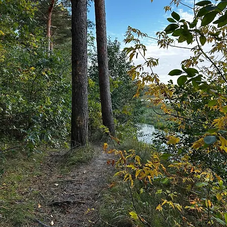 Σαλέ Skansenovo *