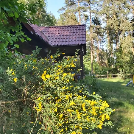 Skansenovo *