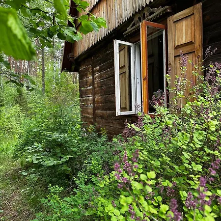 Skansenovo * Rogozno (Wyszkow)