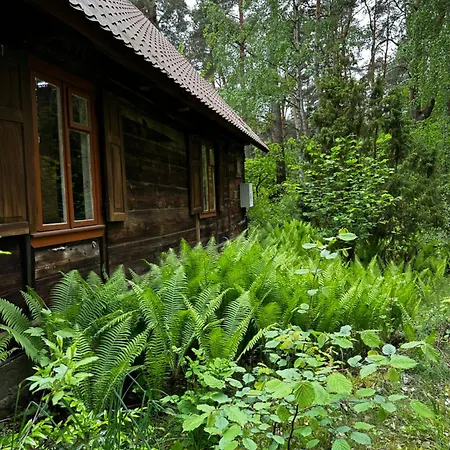 Σαλέ Skansenovo Rogozno (Wyszkow)