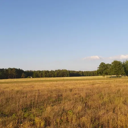 Skansenovo * Rogozno (Wyszkow)